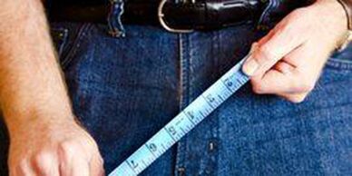 Dimensions of a man's genitals organ